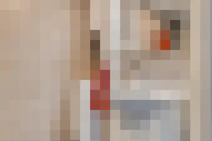 Burgemeester Keijzerlaan 119 Leidschendam thumbnail 8