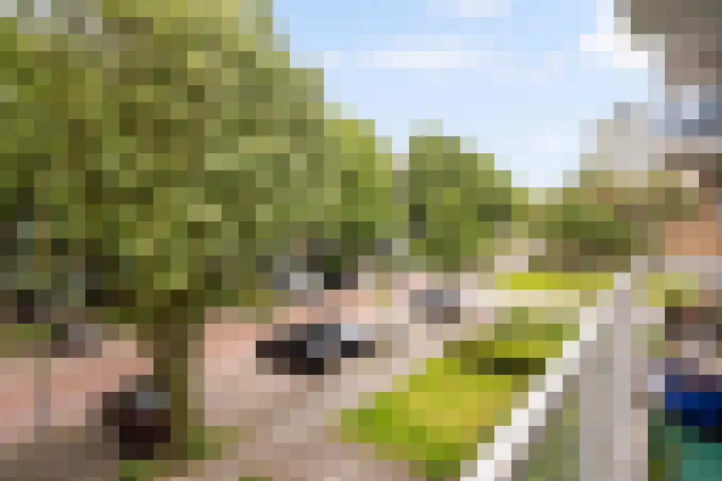 Burgemeester Keijzerlaan 164 Leidschendam thumbnail 18