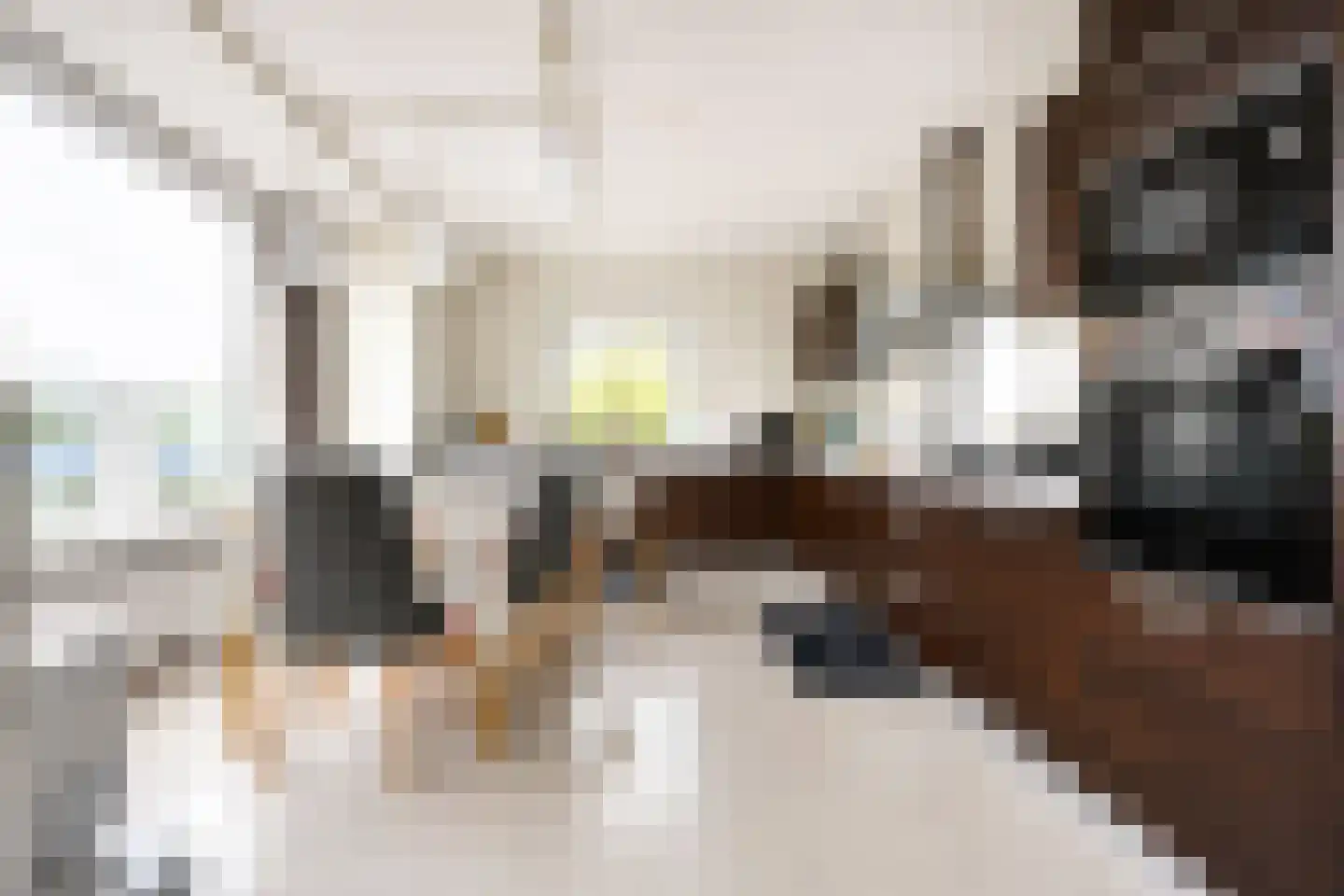 Burgemeester Keijzerlaan 174 Leidschendam thumbnail 4