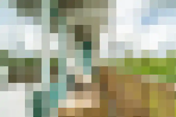 Burgemeester Keijzerlaan 217 Leidschendam thumbnail 28