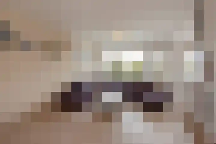 Burgemeester Keijzerlaan 227 Leidschendam thumbnail 8