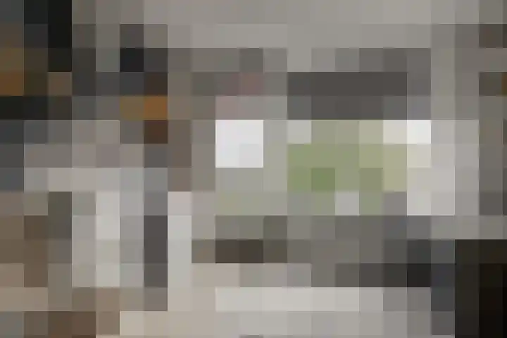 Burgemeester Keijzerlaan 30 Leidschendam thumbnail 4