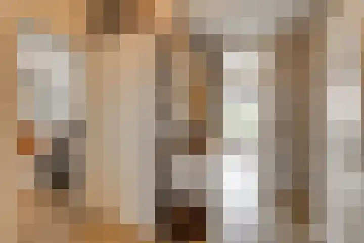 Burgemeester Keijzerlaan 30 Leidschendam thumbnail 8