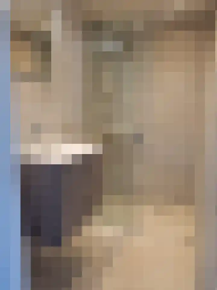 Burgemeester Keijzerlaan 52 Leidschendam thumbnail 13