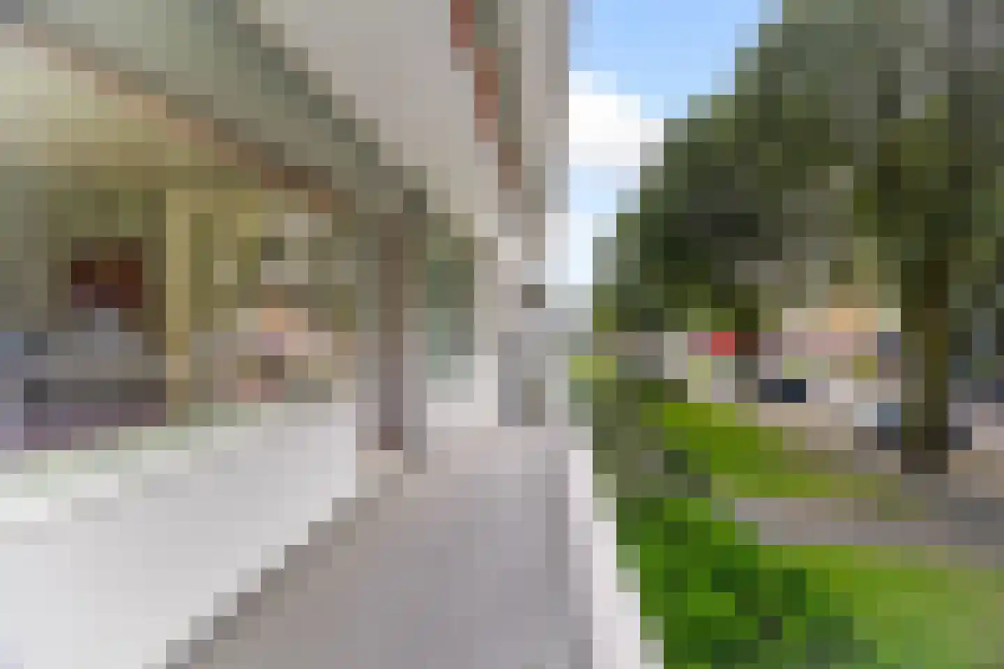 Burgemeester Keijzerlaan 80 Leidschendam thumbnail 15