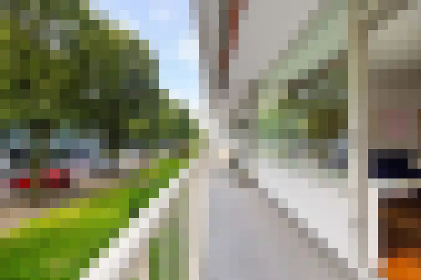 Burgemeester Keijzerlaan 80 Leidschendam thumbnail 16