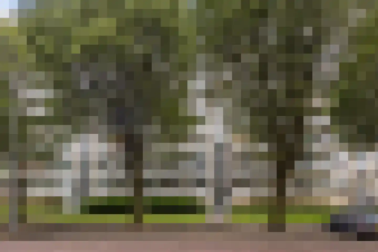 Burgemeester Keijzerlaan 80 Leidschendam thumbnail 27