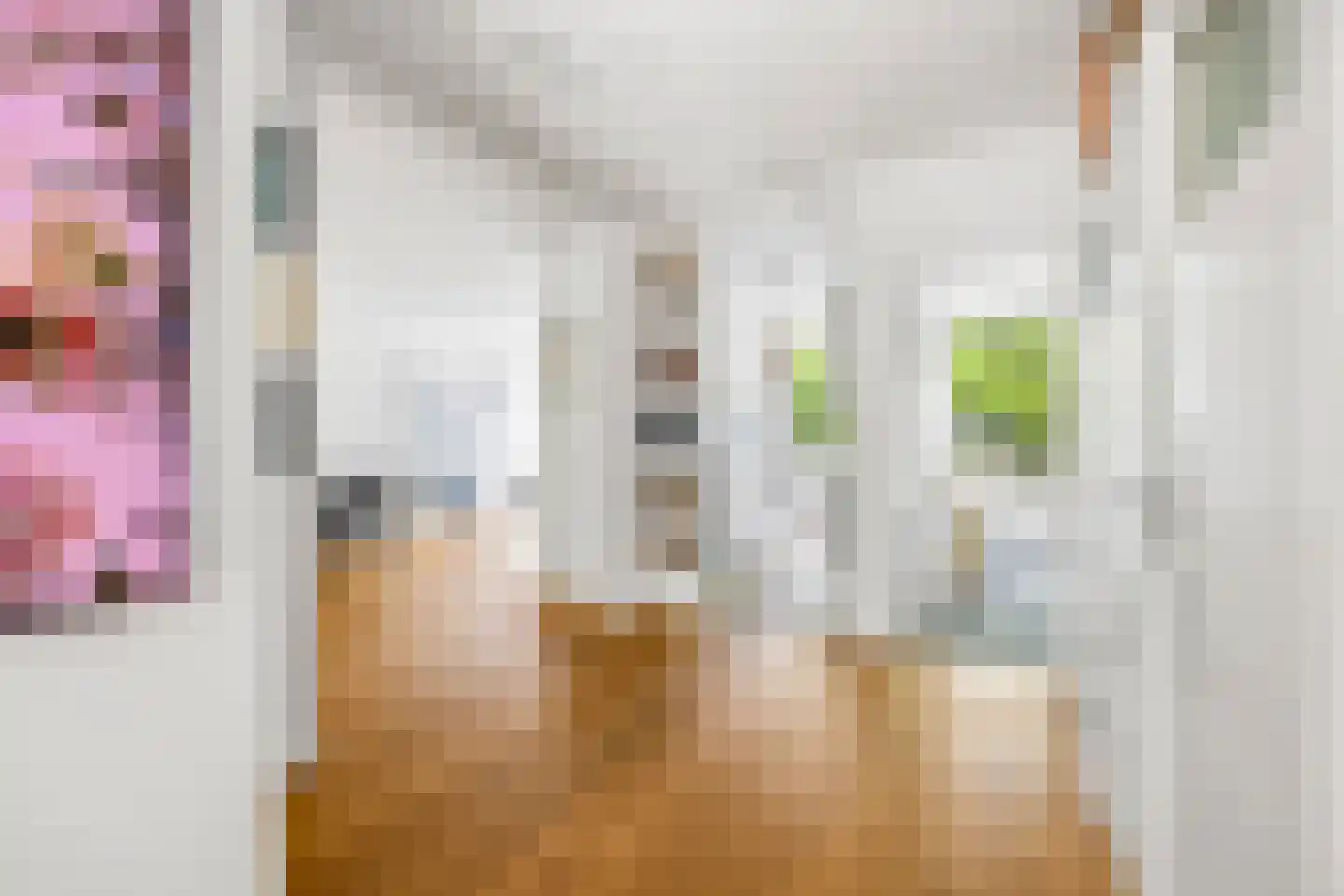 Burgemeester Keijzerlaan 80 Leidschendam thumbnail 5