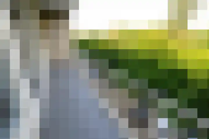 Burgemeester Keijzerlaan 96 Leidschendam thumbnail 10