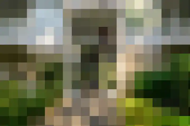 Burgemeester Keijzerlaan 96 Leidschendam thumbnail 6