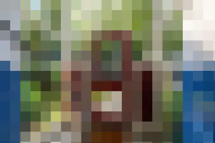 Burgemeester Keijzerlaan 96 Leidschendam thumbnail 7