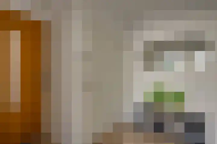 Burgemeester Keijzerlaan 99 Leidschendam thumbnail 10