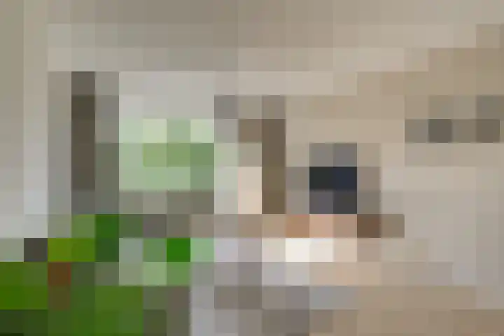 Burgemeester Keijzerlaan 99 Leidschendam thumbnail 12