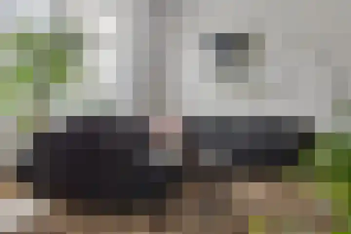 Burgemeester Kerstenslaan 3 Breda thumbnail 20