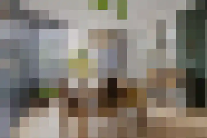 Burgemeester Kerstenslaan 3 Breda thumbnail 23