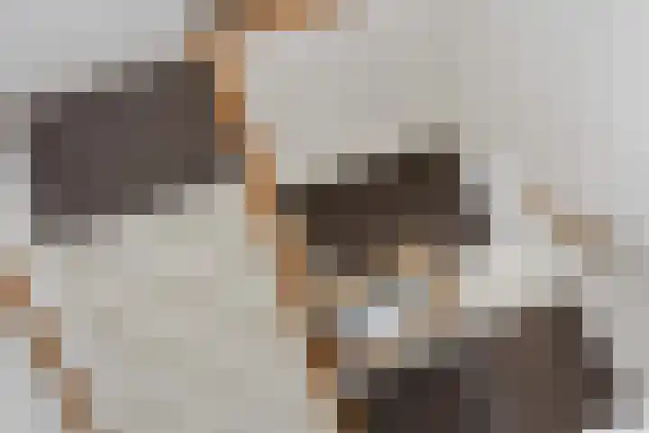 Burgemeester Kerstenslaan 3 Breda thumbnail 53