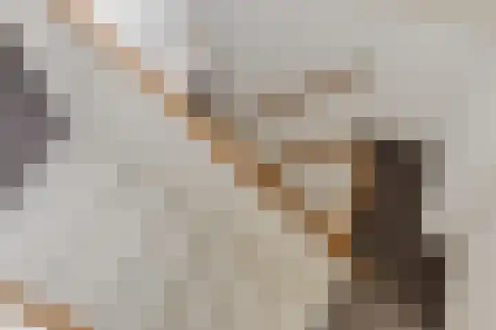 Burgemeester Kerstenslaan 3 Breda thumbnail 55