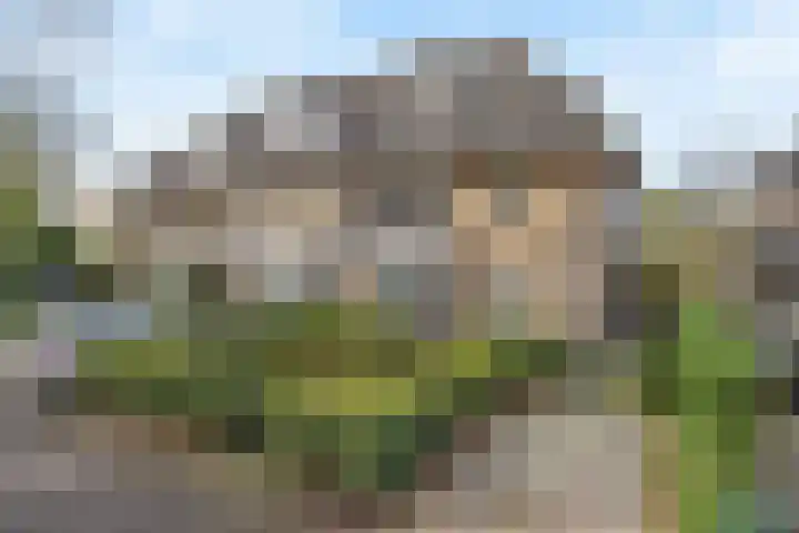 Burgemeester Kerstenslaan 3 Breda thumbnail 6