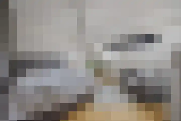 Burgemeester Kerstenslaan 3 Breda thumbnail 61