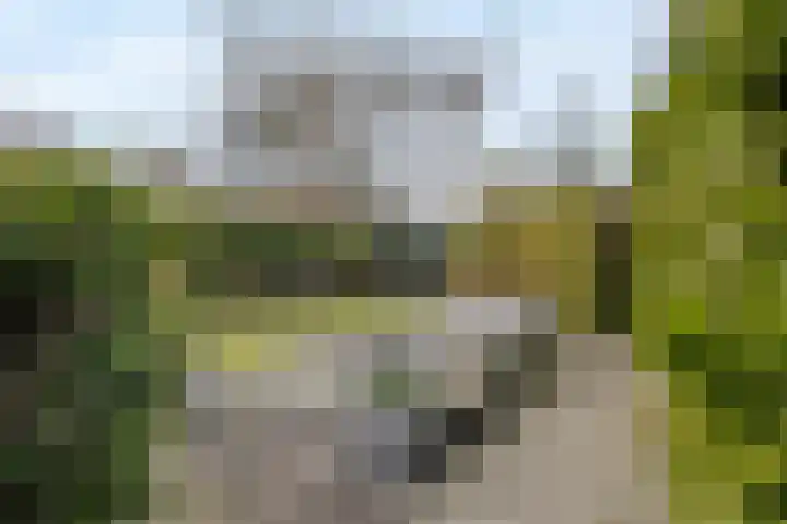 Burgemeester Kerstenslaan 3 Breda thumbnail 70