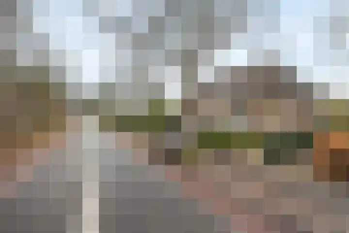 Burgemeester Kerstenslaan 3 Breda thumbnail 8