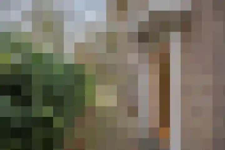 Burgemeester Kerstenslaan 3 Breda thumbnail 9