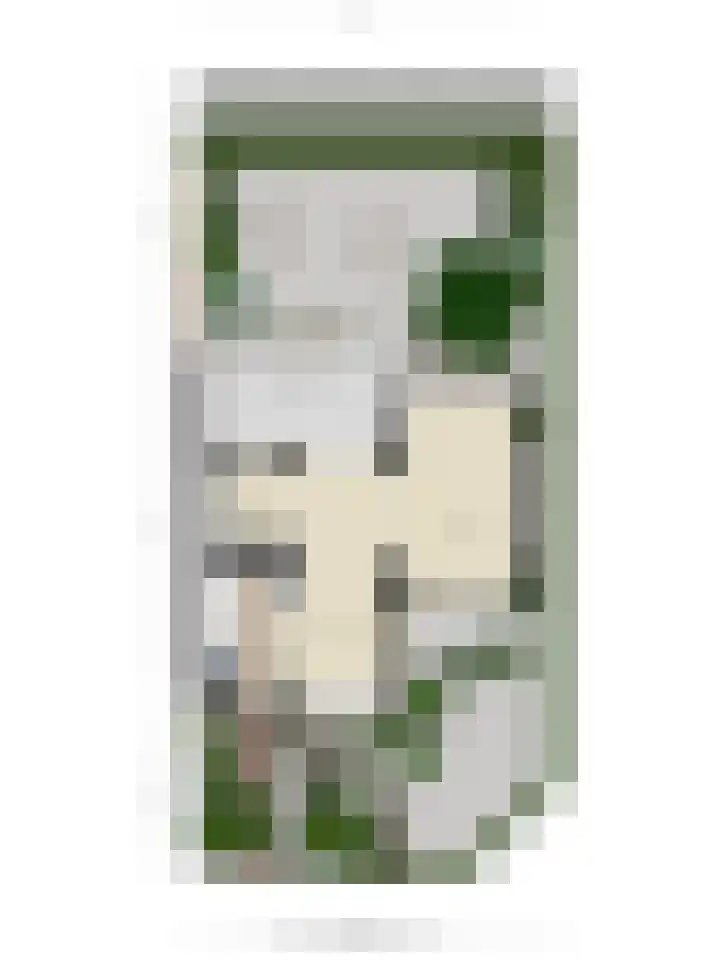 Burgemeester Kessensingel 65 Maastricht thumbnail 31