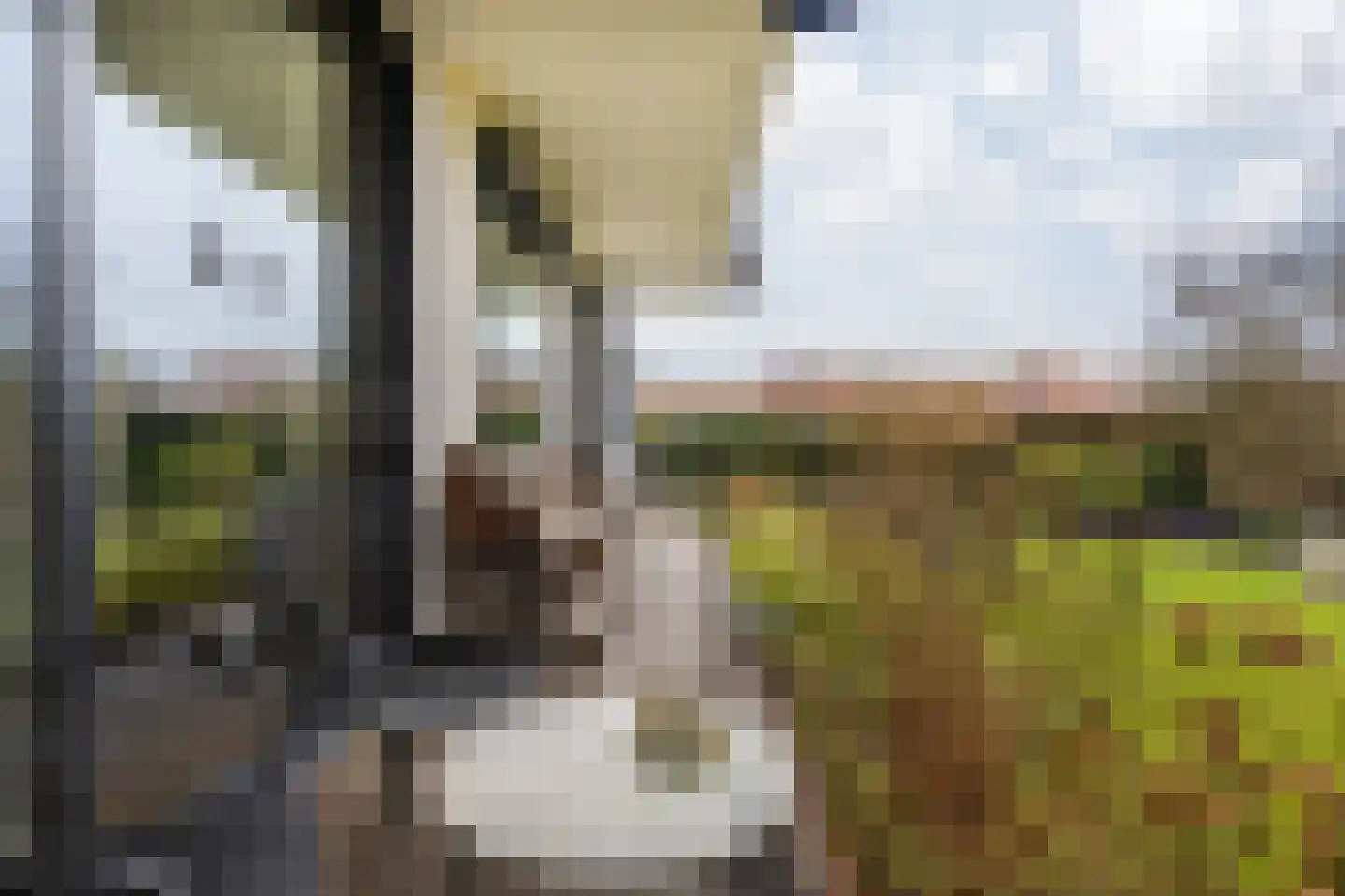 Burgemeester Kessensingel 83 Maastricht thumbnail 44