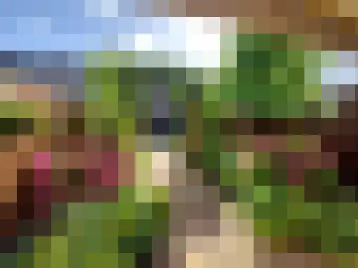Burgemeester Kieboomlaan 12 Vlaardingen thumbnail 11