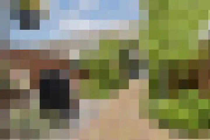 Burgemeester Kieboomlaan 12 Vlaardingen thumbnail 8
