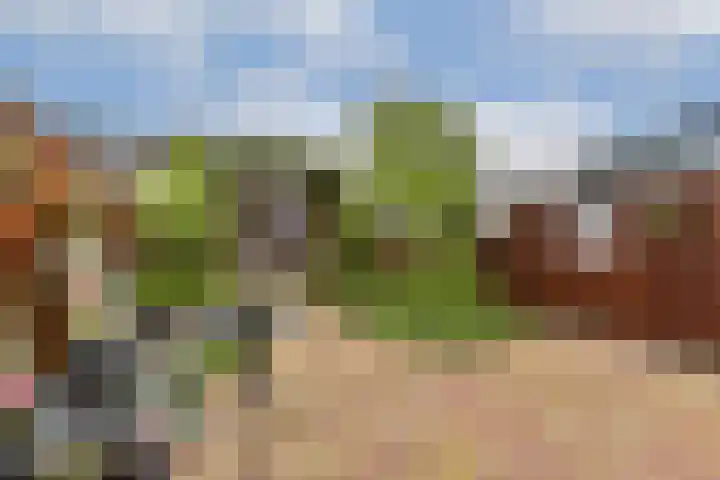 Burgemeester Kieboomlaan 12 Vlaardingen thumbnail 9