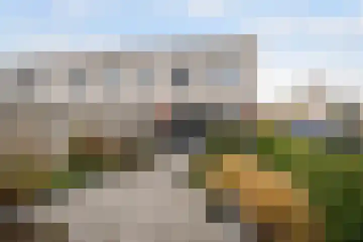 Burgemeester Kieboomlaan 16 Vlaardingen thumbnail 7