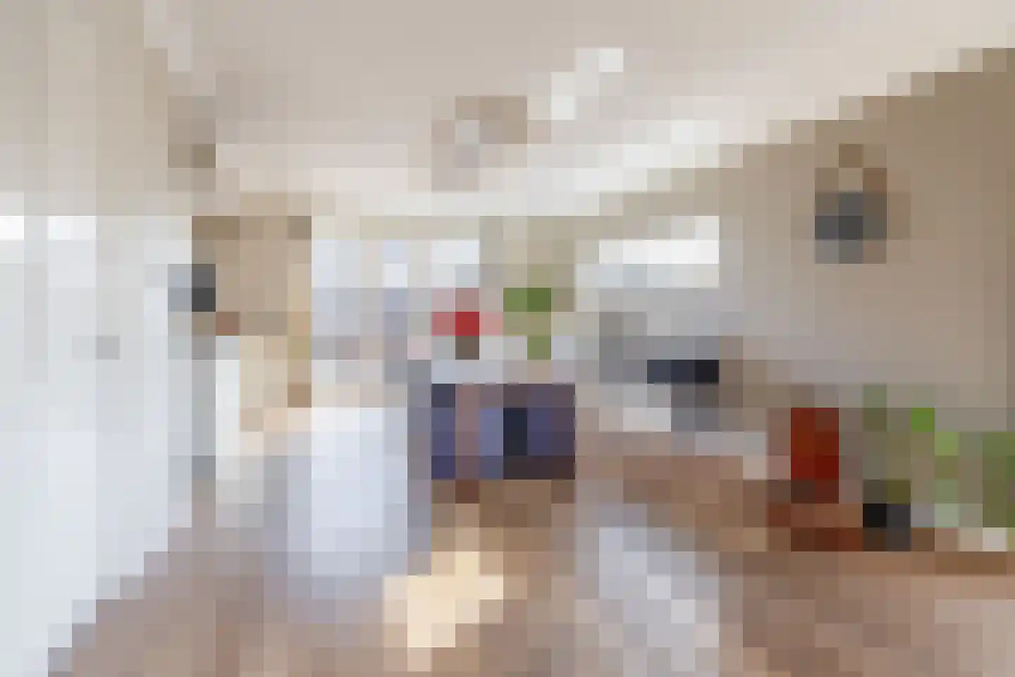 Burgemeester Klinkhamerweg 24 a Zevenhuizen thumbnail 12