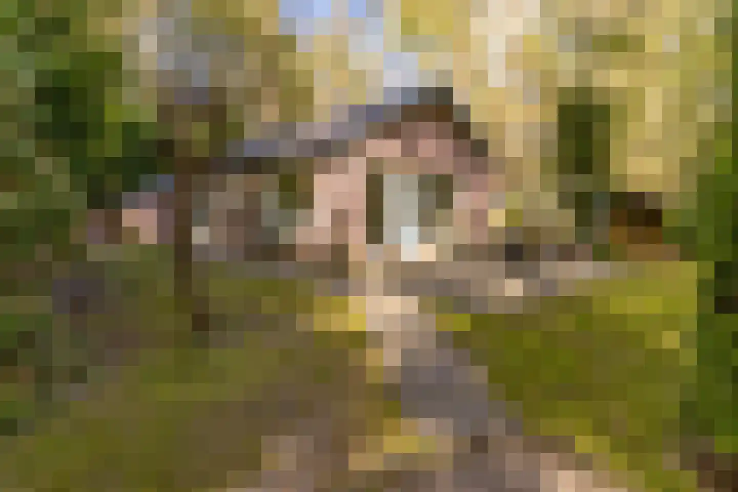 Burgemeester Klinkhamerweg 24 a Zevenhuizen thumbnail 32