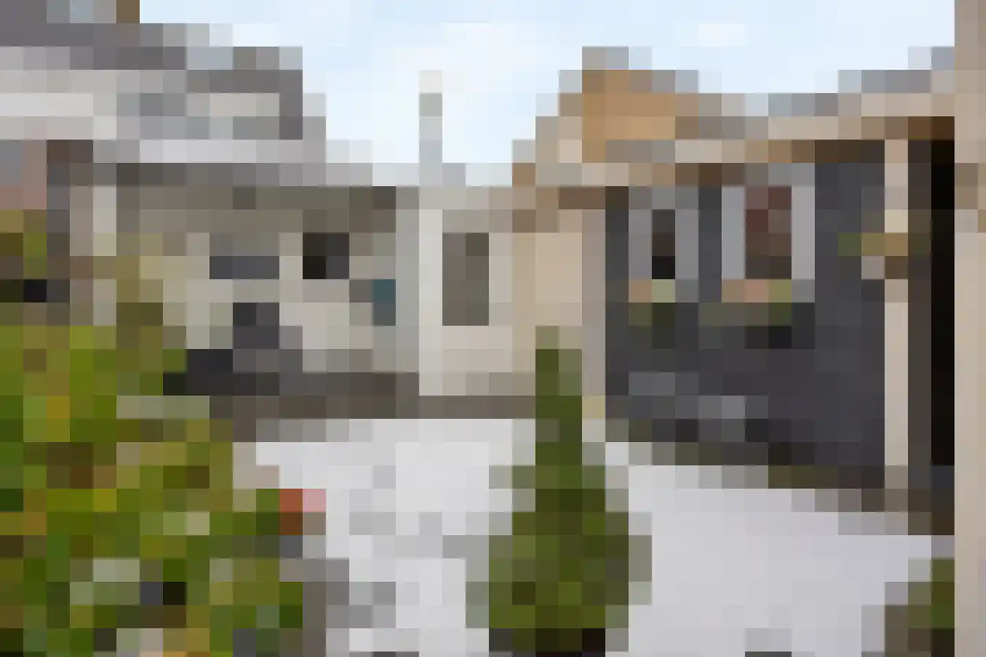 Burgemeester Klinkhamerweg 29 Zevenhuizen thumbnail 28