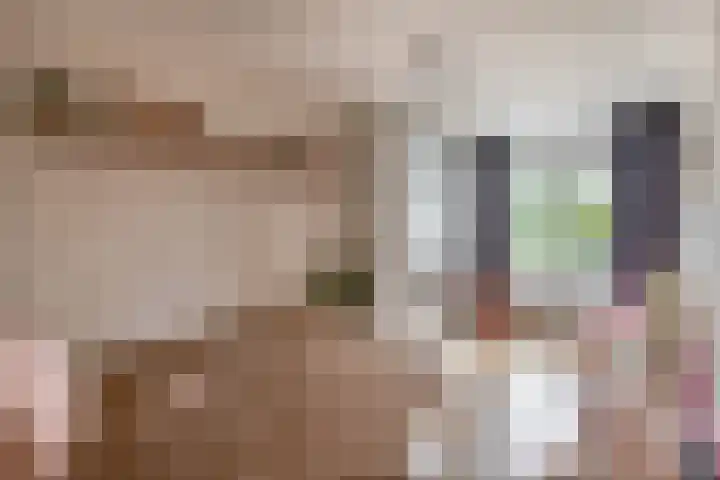 Burgemeester Klinkhamerweg 48 Zevenhuizen thumbnail 17