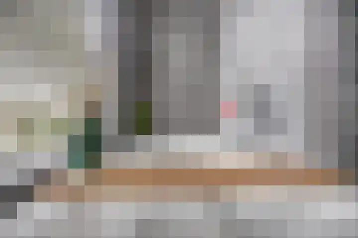 Burgemeester Klinkhamerweg 48 Zevenhuizen thumbnail 20