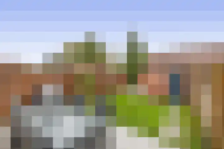 Burgemeester Klinkhamerweg 48 Zevenhuizen thumbnail 26