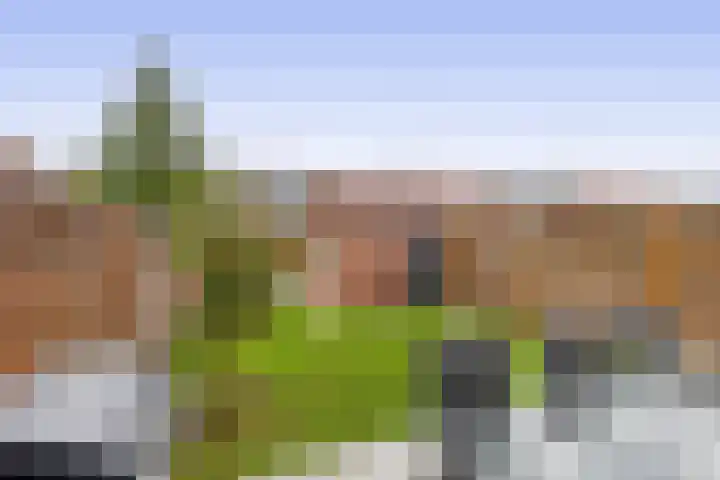 Burgemeester Klinkhamerweg 48 Zevenhuizen thumbnail 4