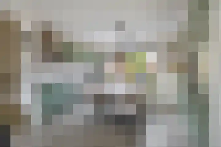 Burgemeester Klinkhamerweg 48 Zevenhuizen thumbnail 9