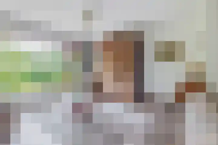 Burgemeester Klinkhamerweg 65 Zevenhuizen thumbnail 11