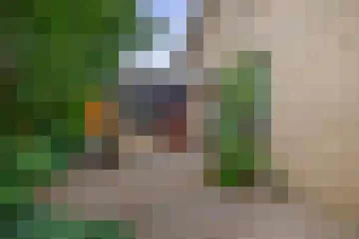 Burgemeester Klinkhamerweg 65 Zevenhuizen thumbnail 34
