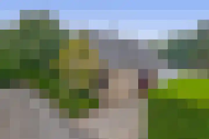 Burgemeester Klinkhamerweg 65 Zevenhuizen thumbnail 4