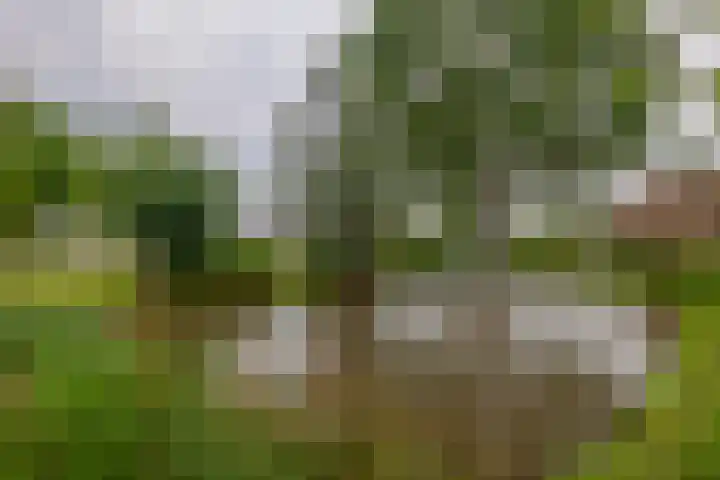 Burgemeester Klinkhamerweg 65 Zevenhuizen thumbnail 40