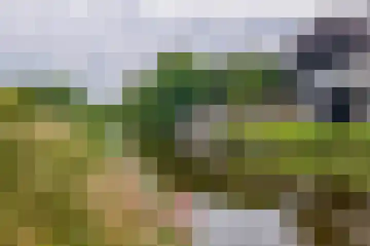 Burgemeester Klinkhamerweg 65 Zevenhuizen thumbnail 42
