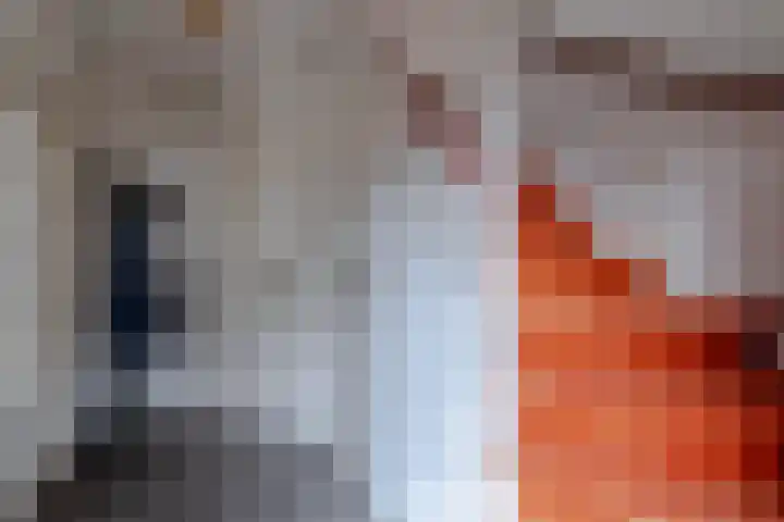 Burgemeester Klinkhamerweg 65 Zevenhuizen thumbnail 5