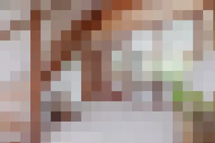 Burgemeester Klinkhamerweg 65 Zevenhuizen thumbnail 7