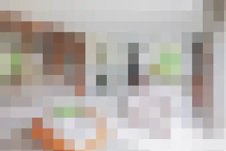 Burgemeester Klinkhamerweg 65 Zevenhuizen thumbnail 9