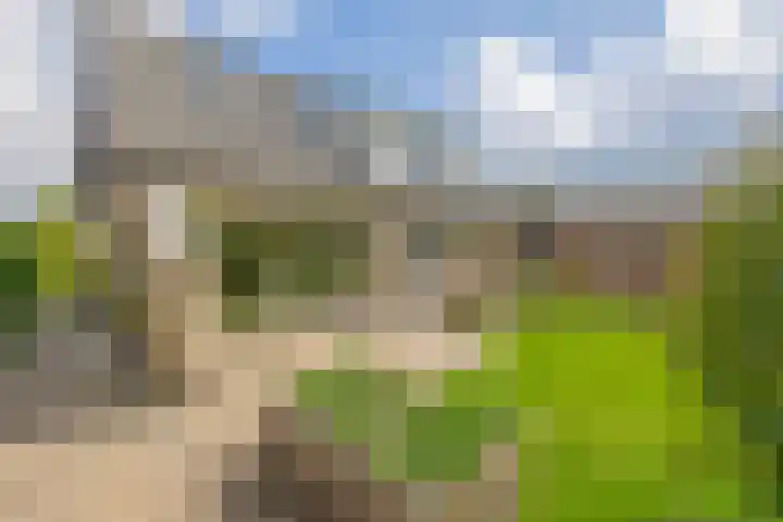 Burgemeester Klinkhamerweg 67 Zevenhuizen thumbnail 39