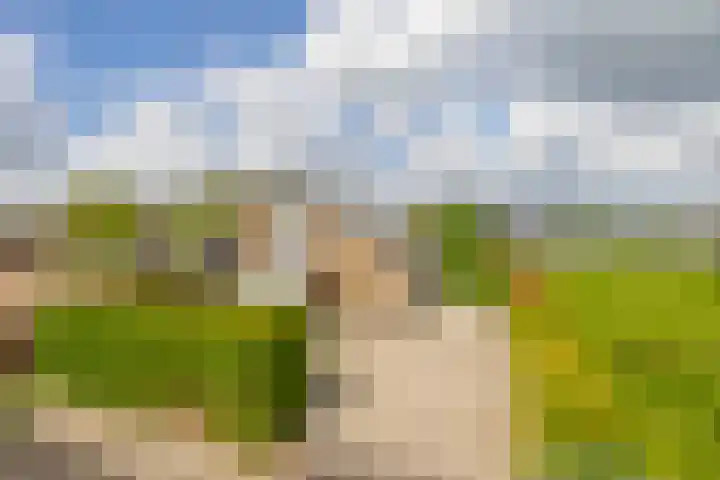 Burgemeester Klinkhamerweg 67 Zevenhuizen thumbnail 43